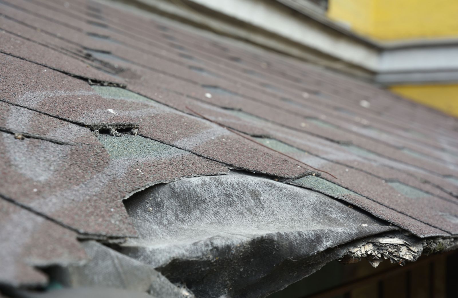 Brazosport Roofing, LLC Images