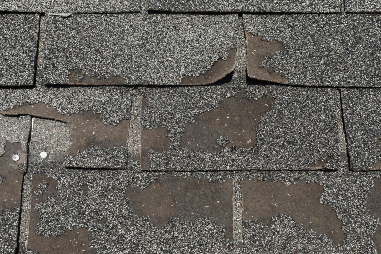 Brazosport Roofing, LLC Images